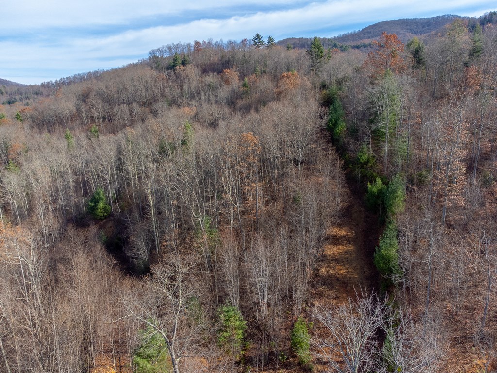 00 Garnet Ridge Preserve