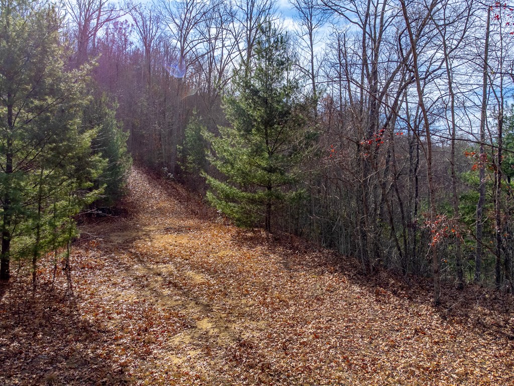 00 Garnet Ridge Preserve