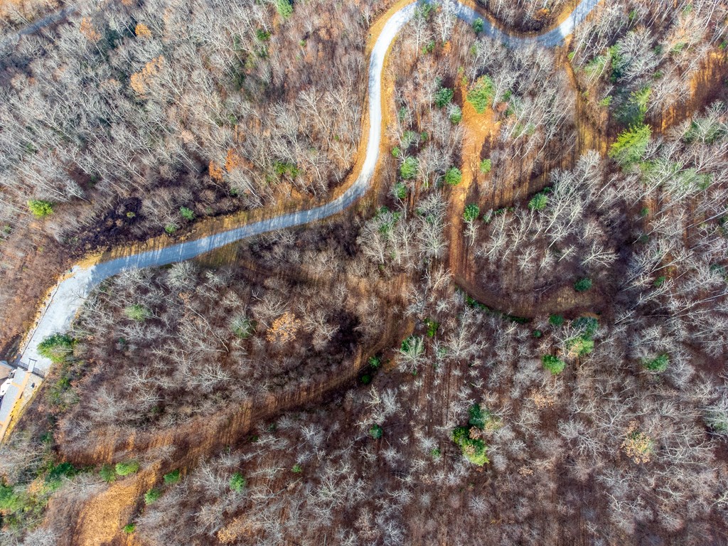 00 Garnet Ridge Preserve