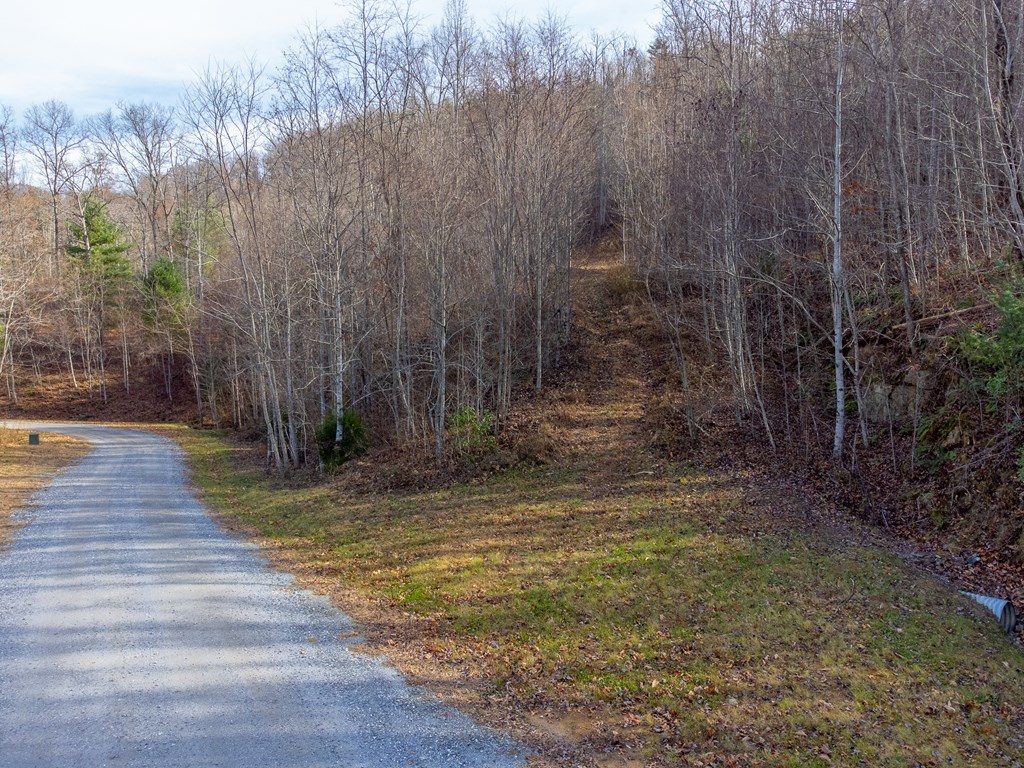 00 Garnet Ridge Preserve