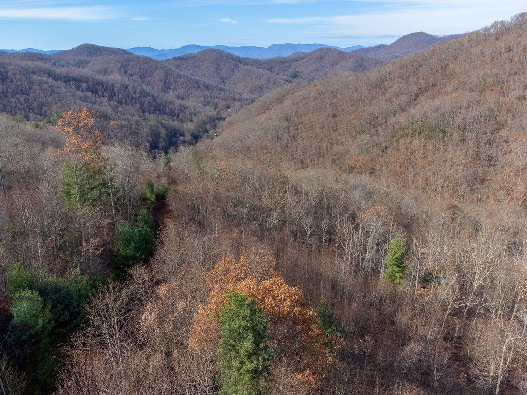 00 Garnet Ridge Preserve