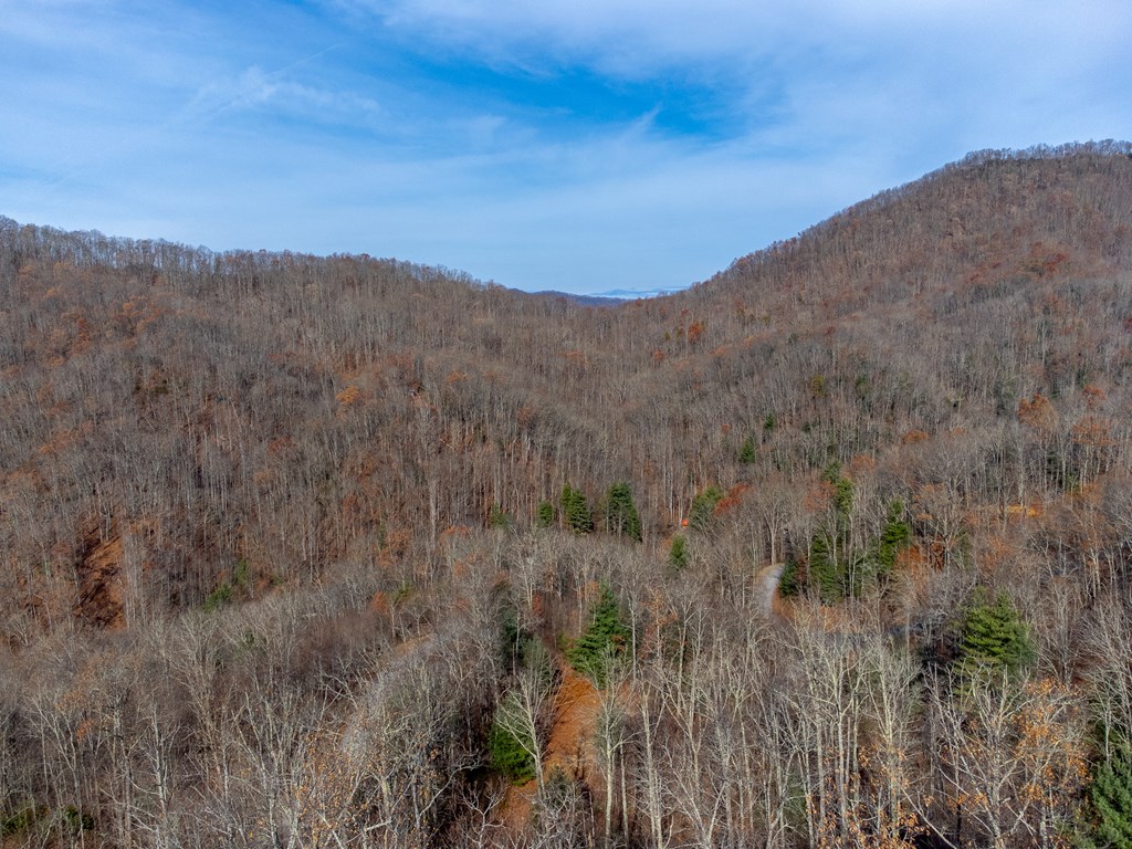 00 Garnet Ridge Preserve