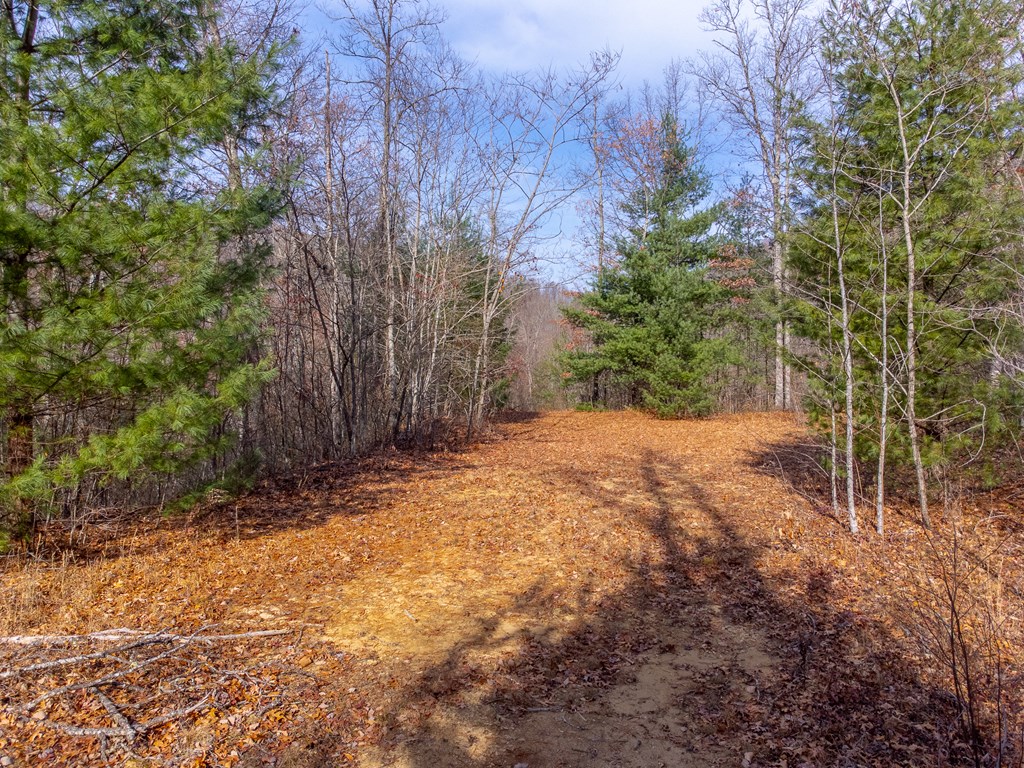 00 Garnet Ridge Preserve