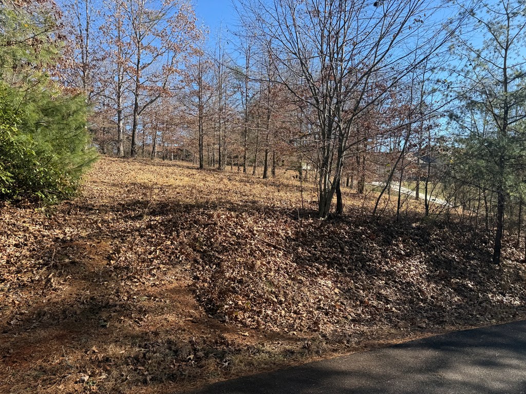 Lot 15 Sunshine Acres