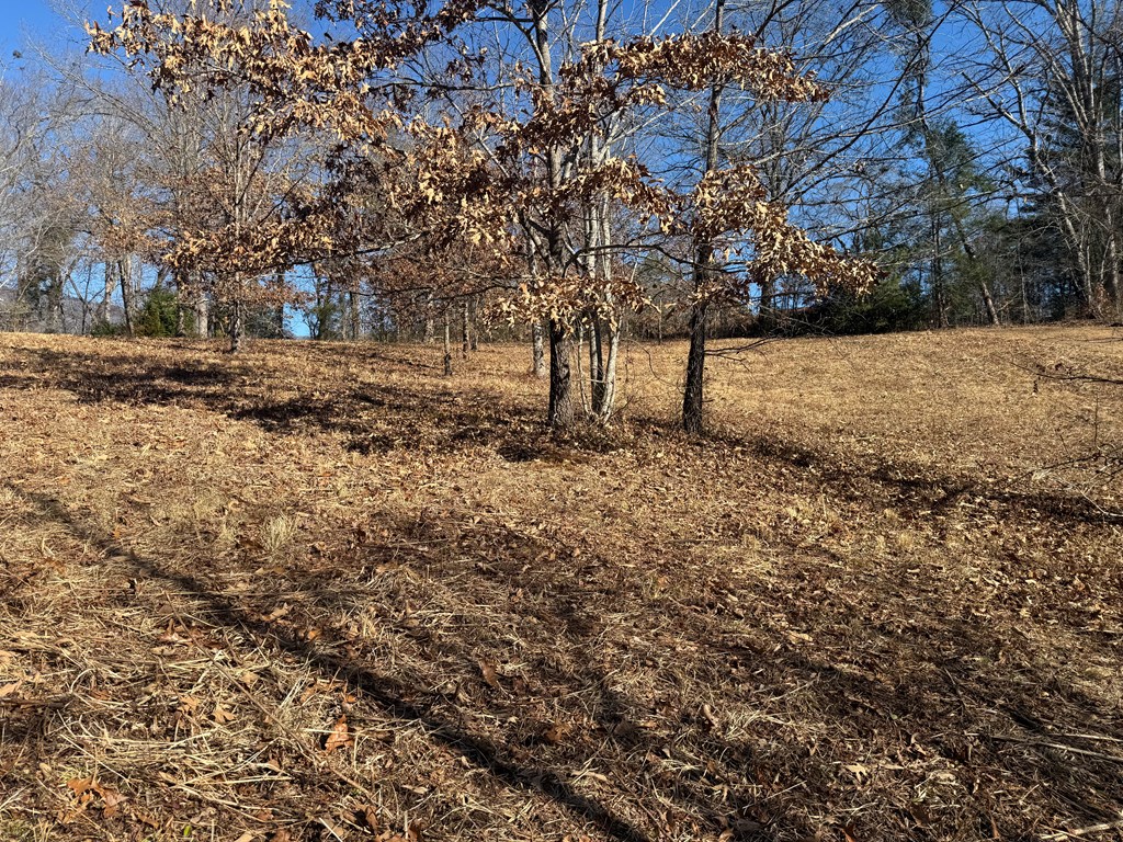 Lot 15 Sunshine Acres