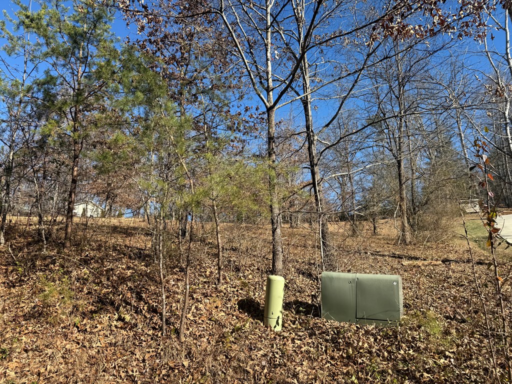 Lot 15 Sunshine Acres