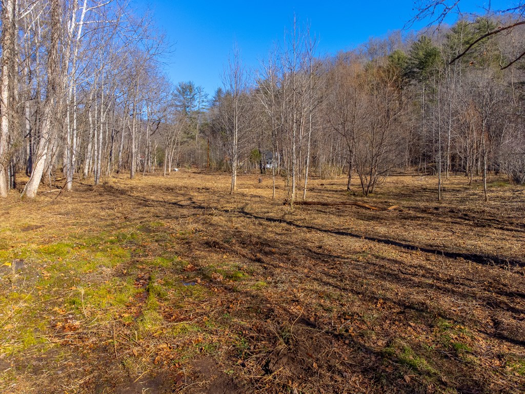 Lt 1,2,3 Caney Fork Rd