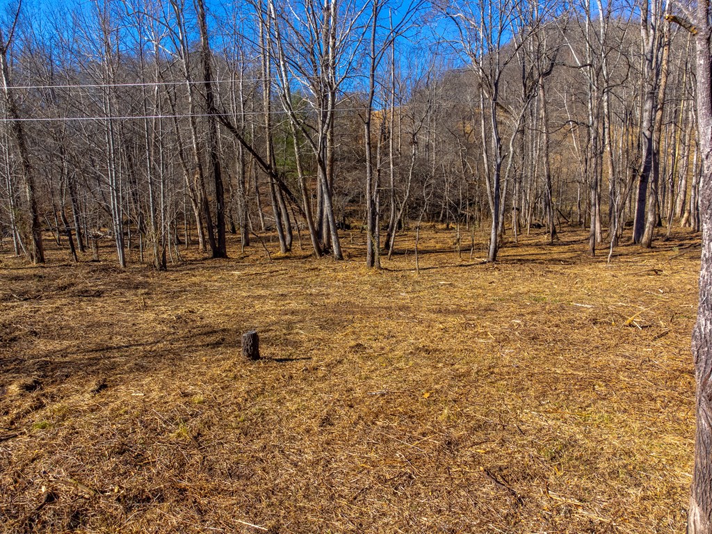 Lt 1,2,3 Caney Fork Rd