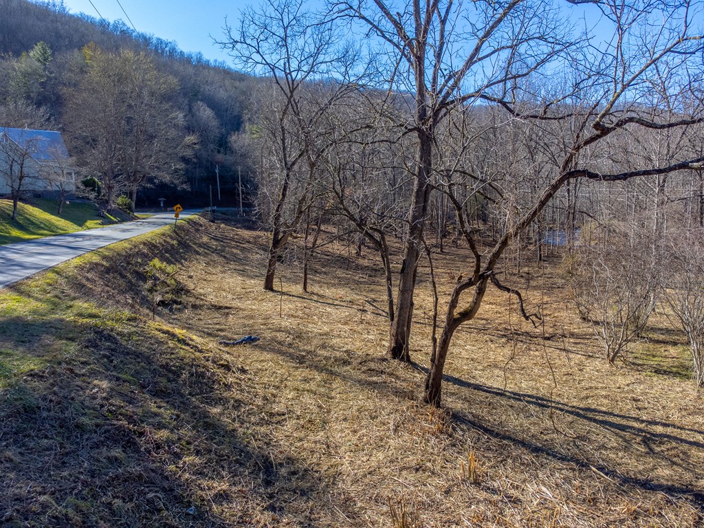 Lt 1,2,3 Caney Fork Rd