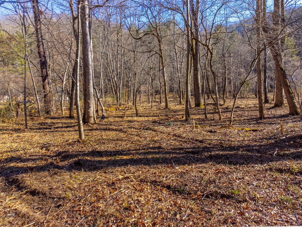 Lt 1,2,3 Caney Fork Rd