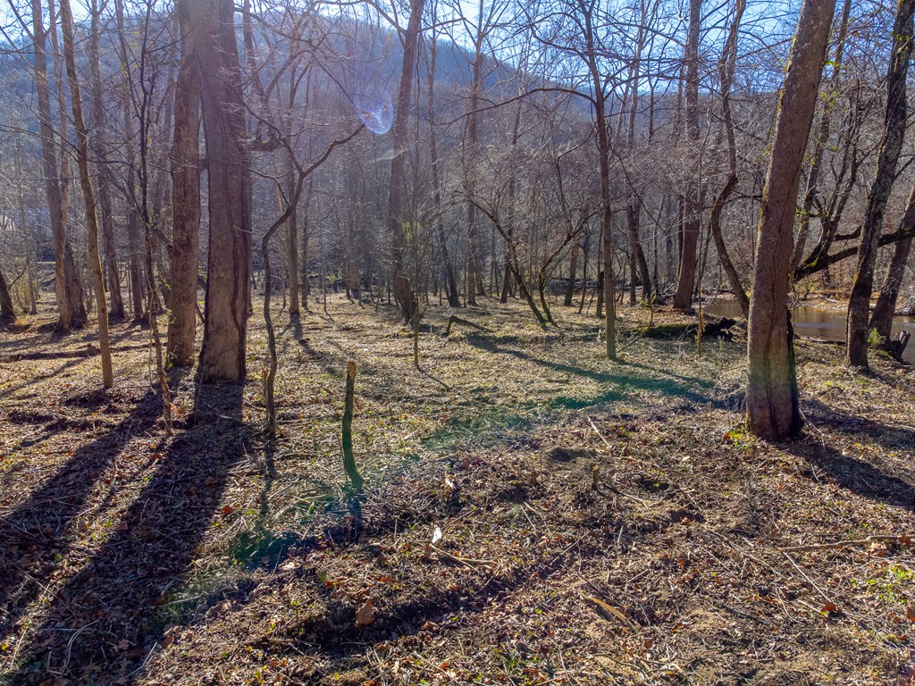 Lt 1,2,3 Caney Fork Rd