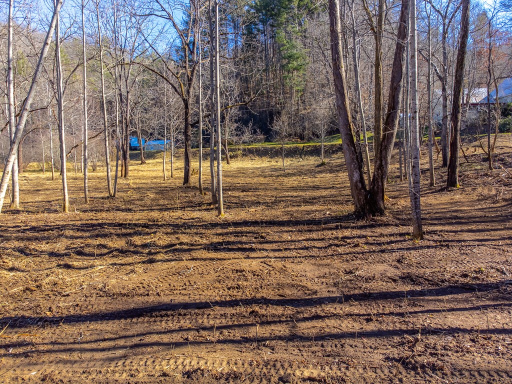 Lt 1,2,3 Caney Fork Rd