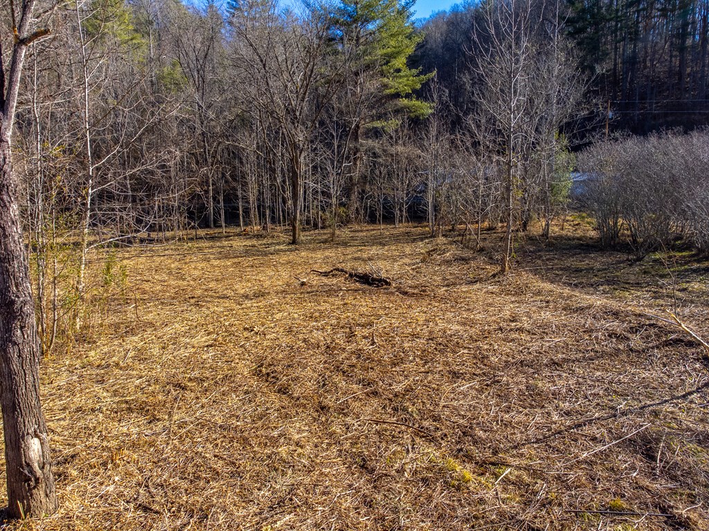 Lt 1,2,3 Caney Fork Rd