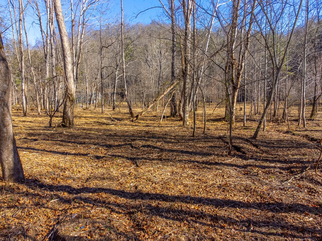 Lt 1,2,3 Caney Fork Rd