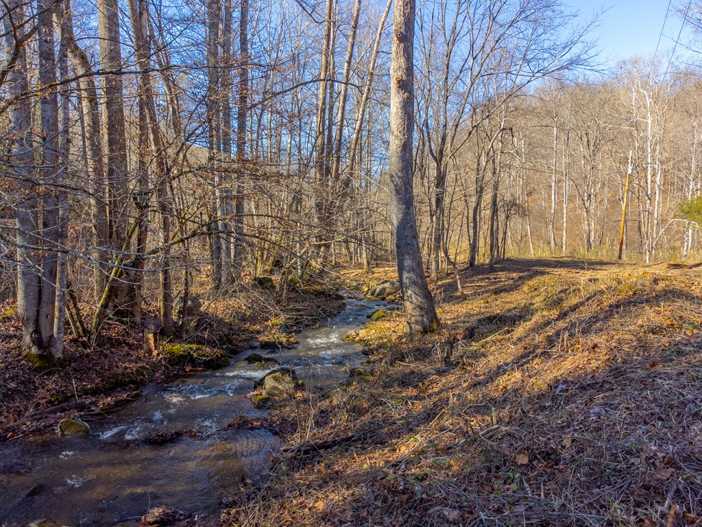 Lt 1,2,3 Caney Fork Rd