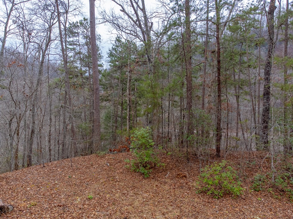 Lot 3 River Valley Estates