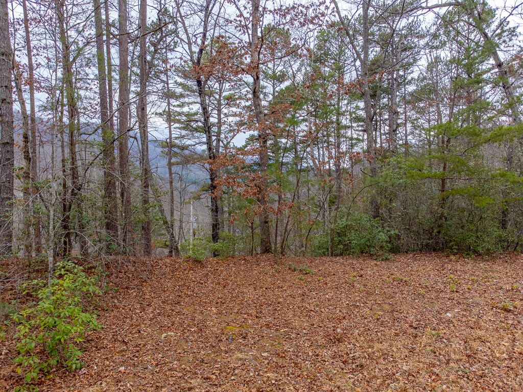 Lot 3 River Valley Estates