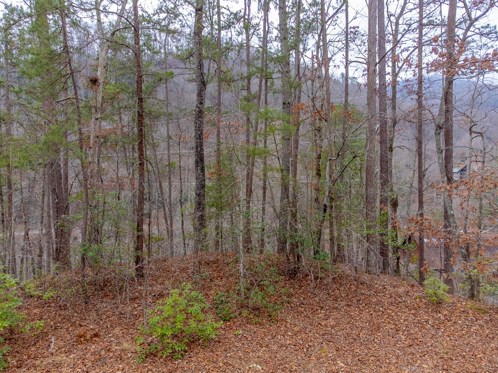 Lot 3 River Valley Estates