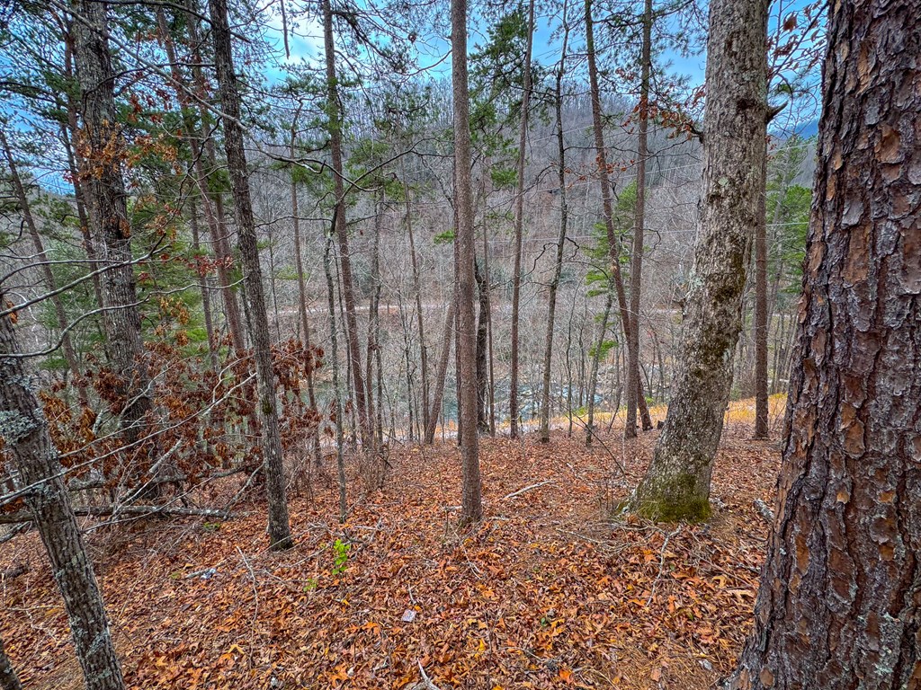 Lot 3 River Valley Estates