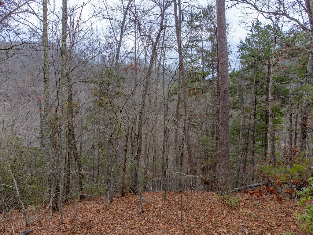 Lot 3 River Valley Estates