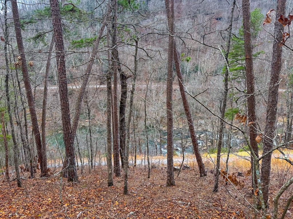 Lot 3 River Valley Estates