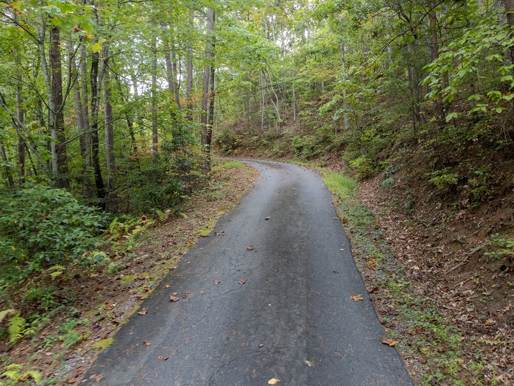 365 Duckback Trail