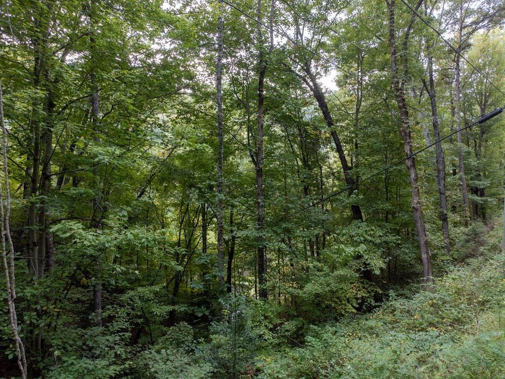 365 Duckback Trail