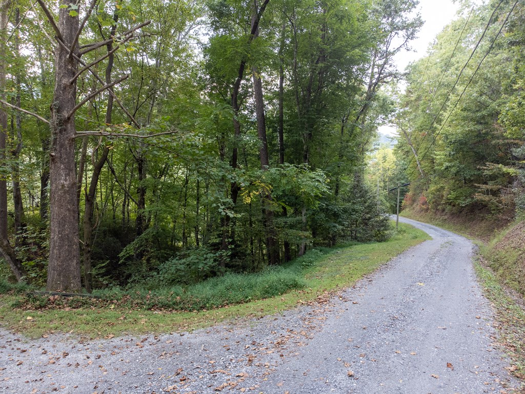 365 Duckback Trail