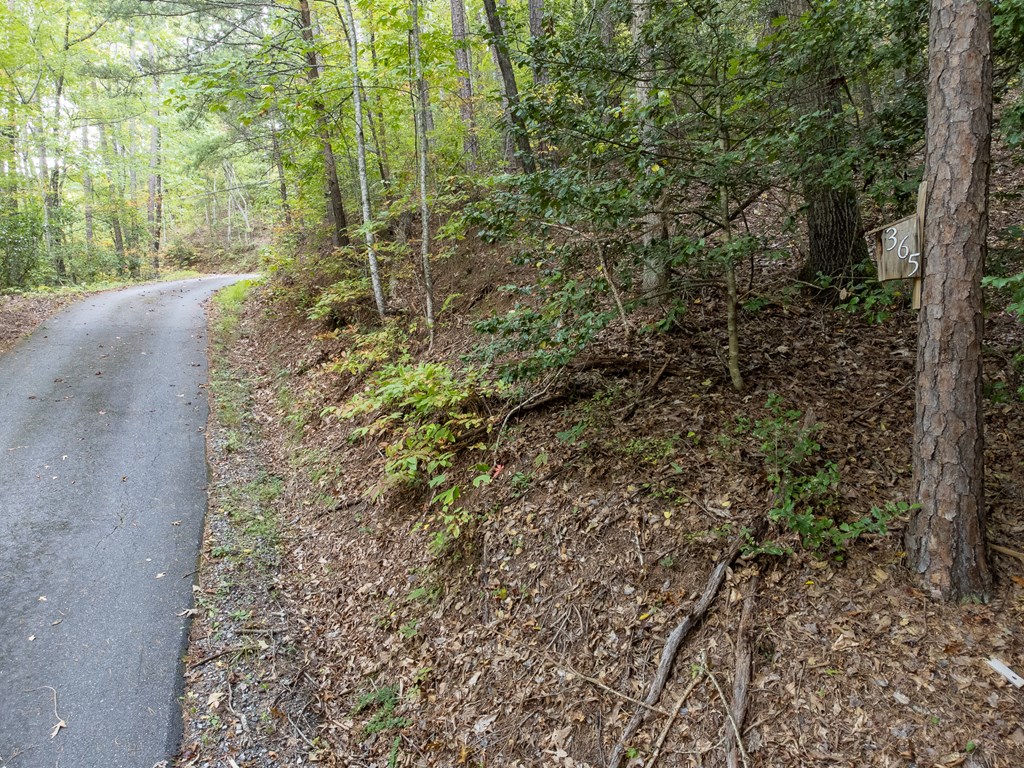 365 Duckback Trail