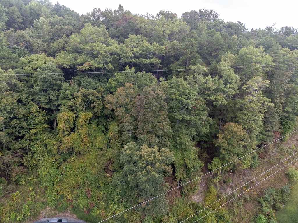 365 Duckback Trail
