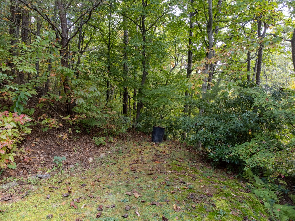 365 Duckback Trail