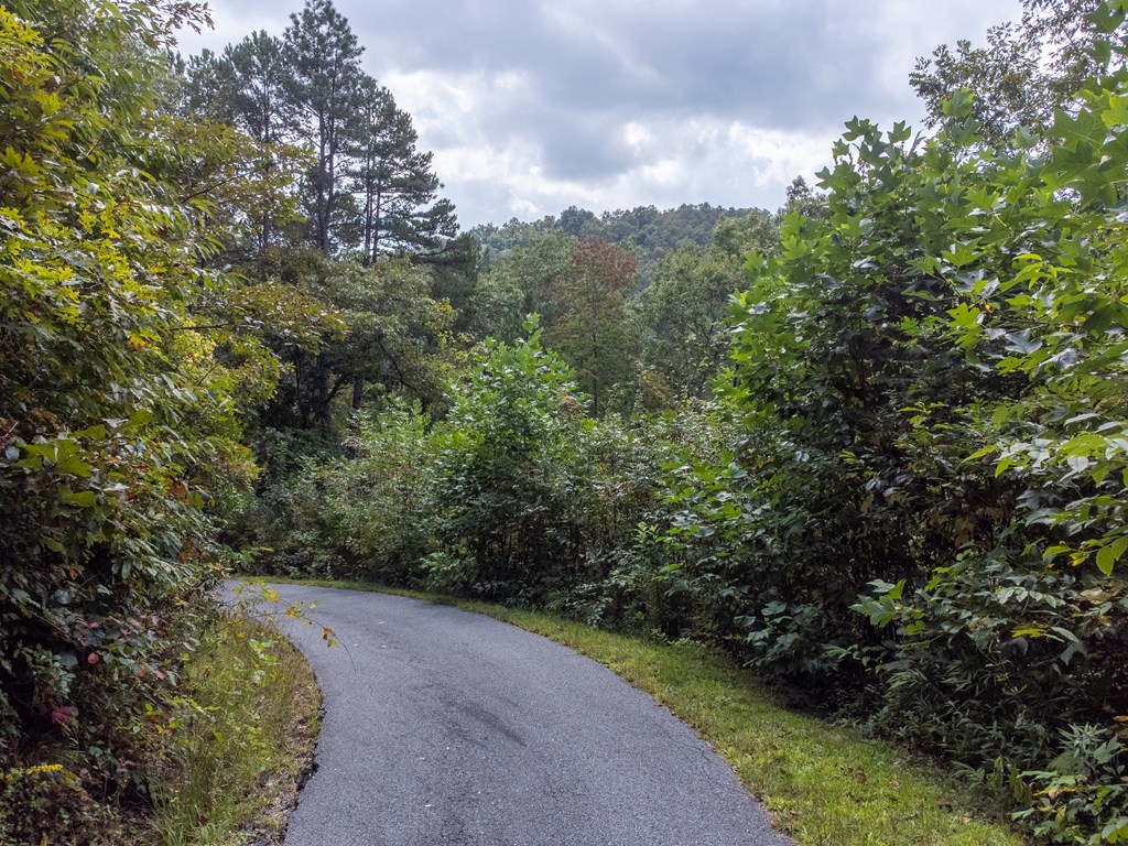 365 Duckback Trail