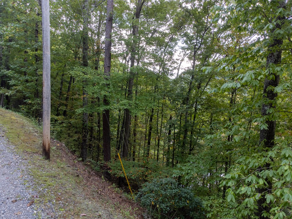 365 Duckback Trail
