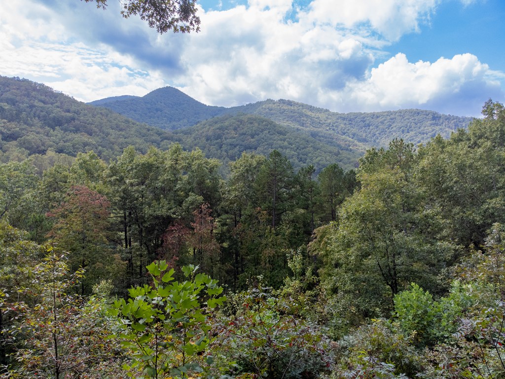 365 Duckback Trail