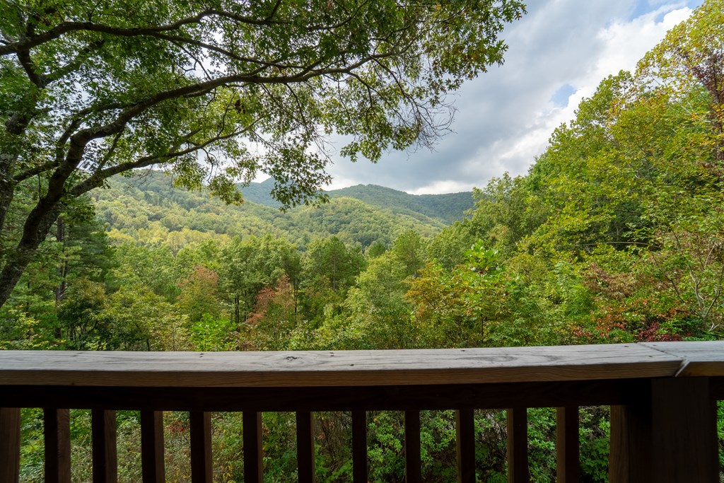 365 Duckback Trail