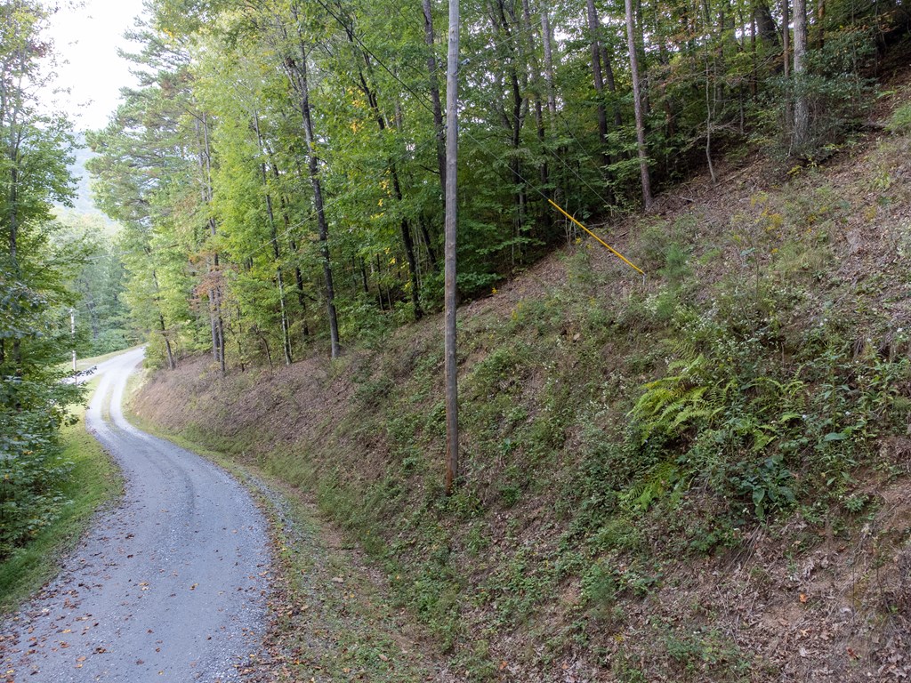 365 Duckback Trail