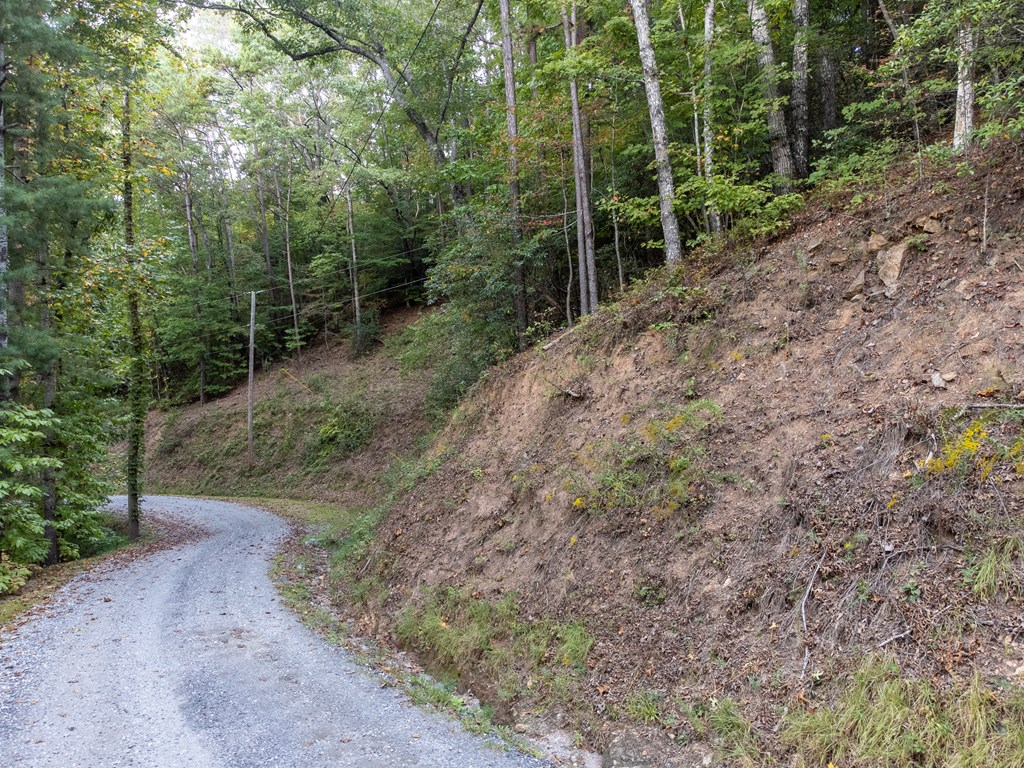 365 Duckback Trail