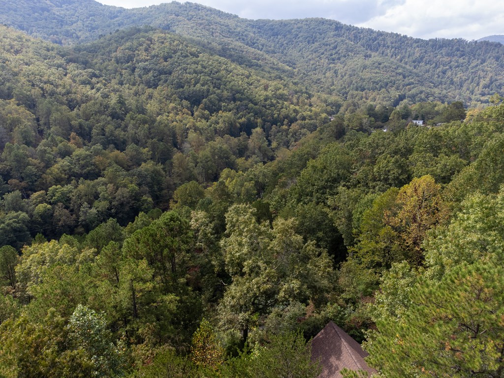 365 Duckback Trail