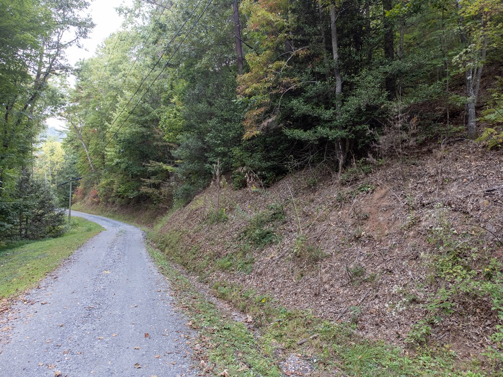 365 Duckback Trail