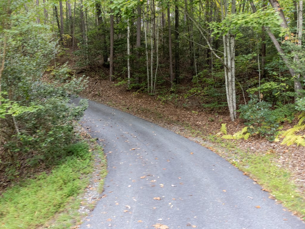 365 Duckback Trail