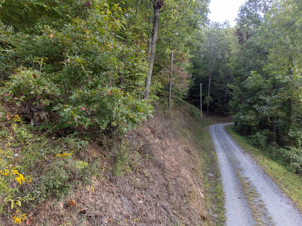 365 Duckback Trail
