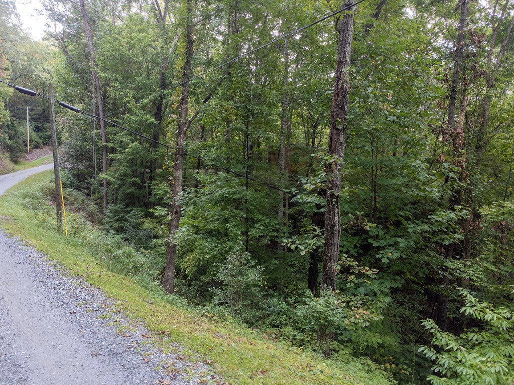 365 Duckback Trail
