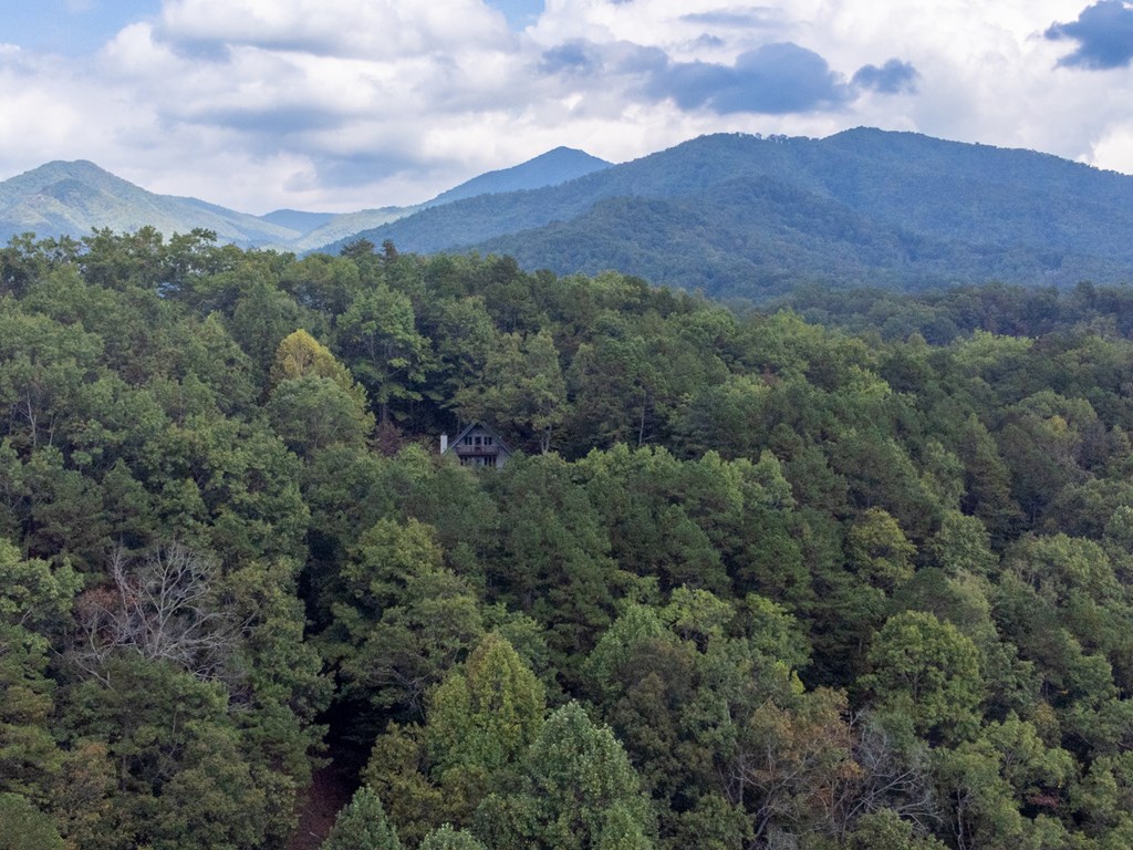 365 Duckback Trail
