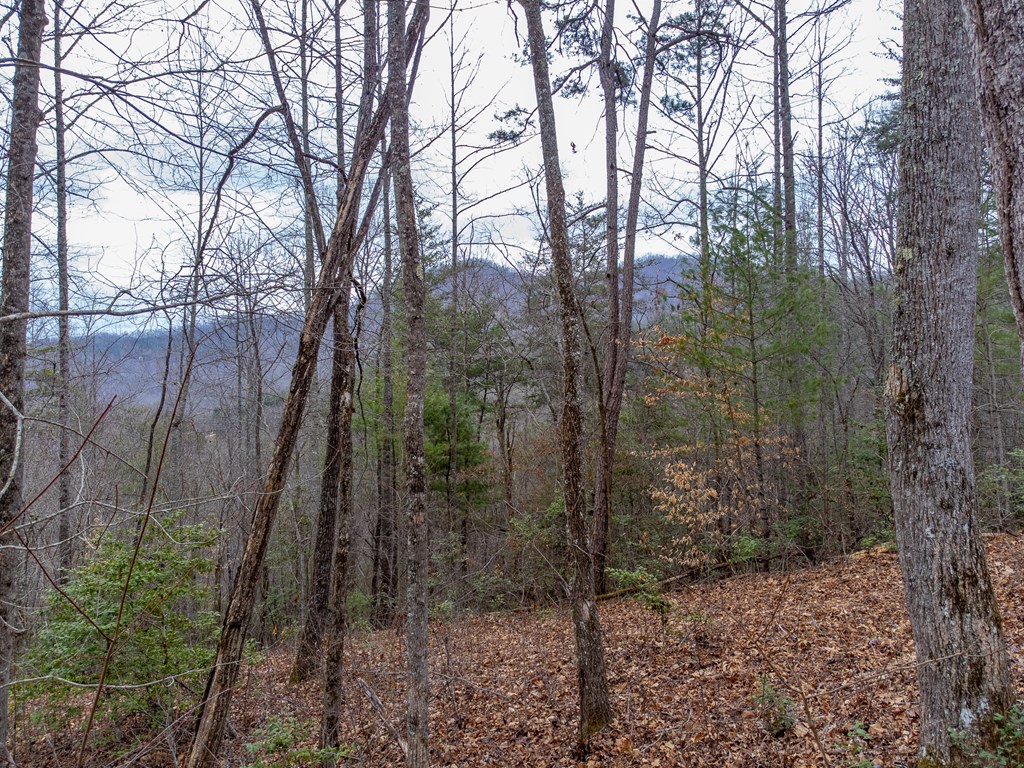 201 Woodhaven Estates