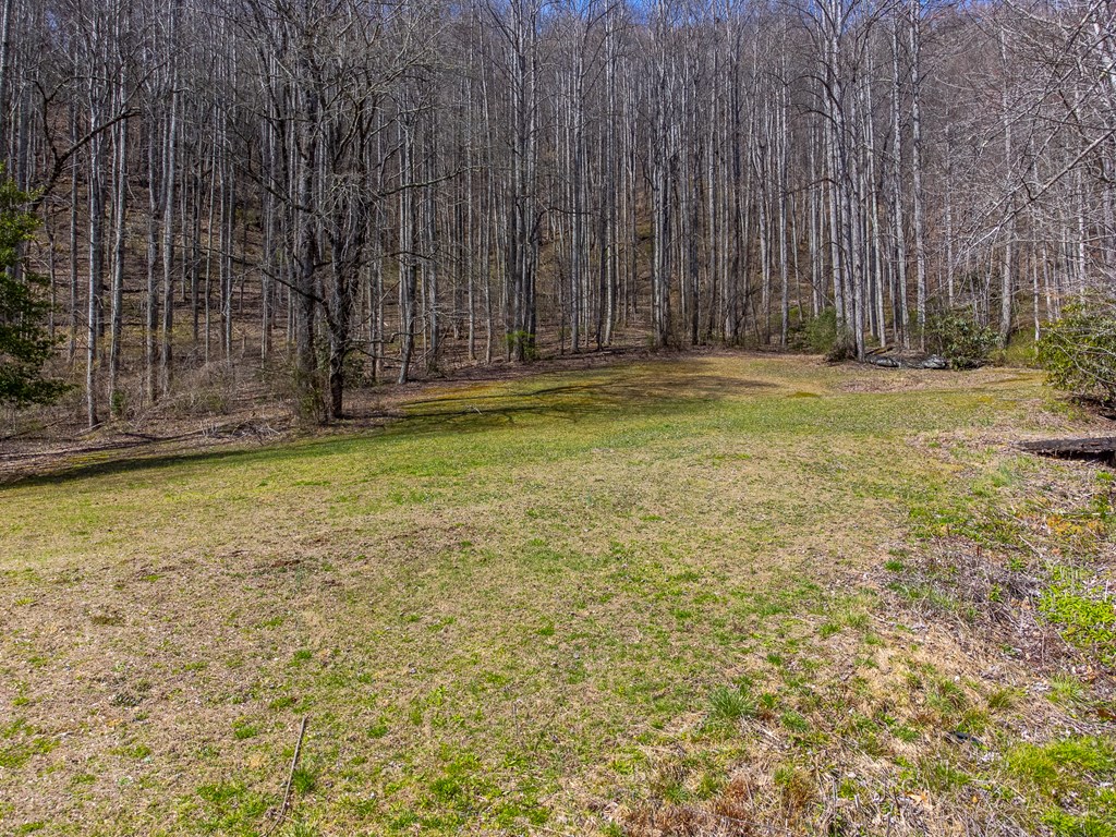 841 Evans Cove Road