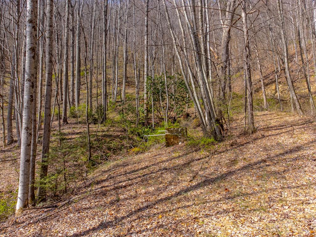 841 Evans Cove Road