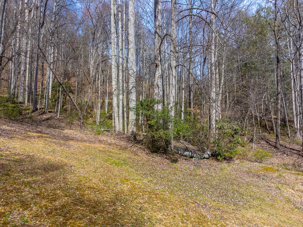 841 Evans Cove Road