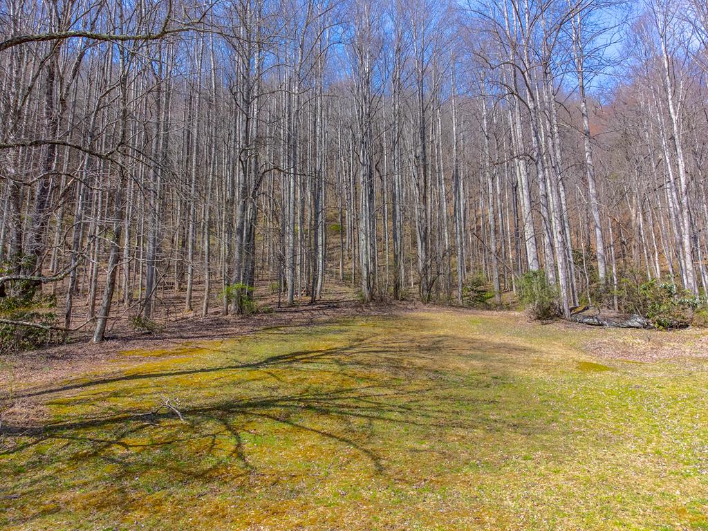 841 Evans Cove Road