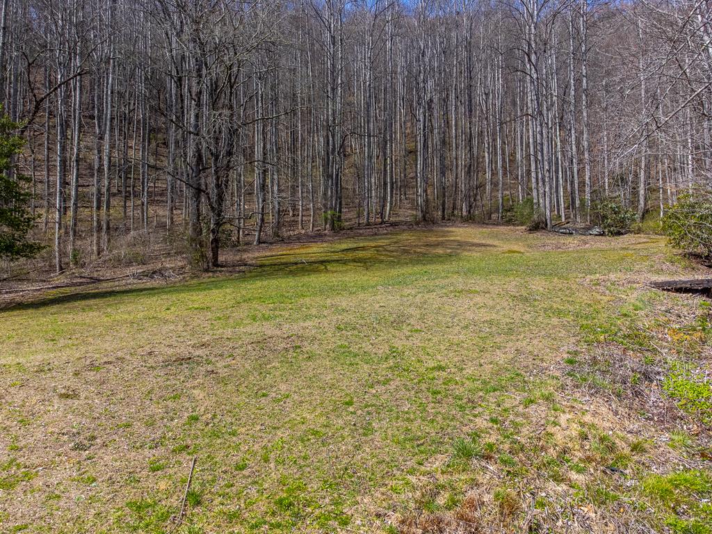 841 Evans Cove Road