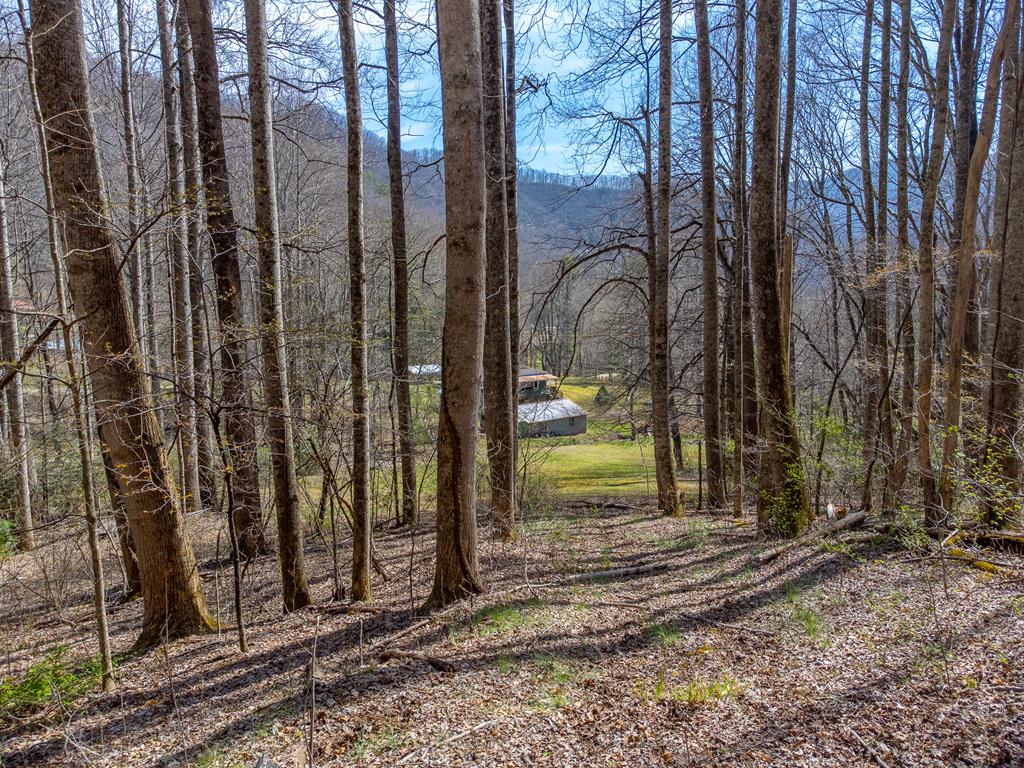 841 Evans Cove Road